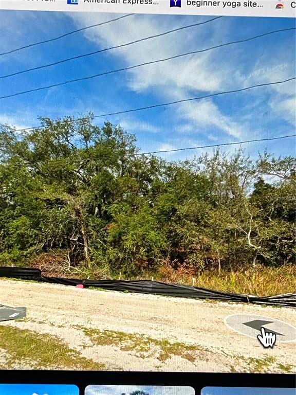 COUNTYLINE, SPRING HILL, FL — photo 3 of 3
