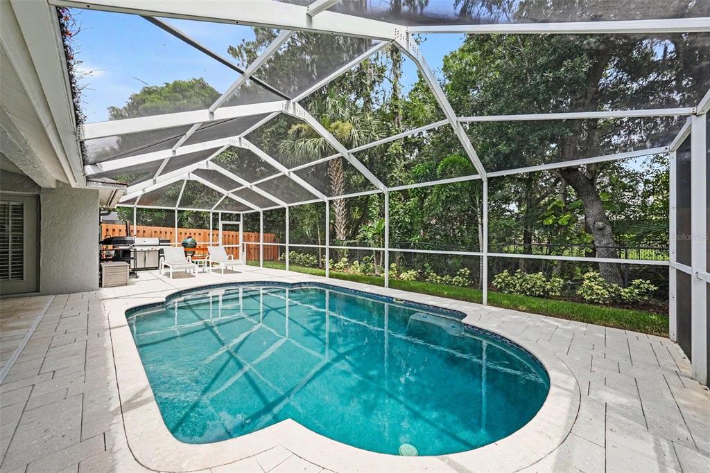 A screened-in swimming pool with a paver deck and outdoor grill area in a backyard — 10617 WEYBRIDGE DRIVE, TAMPA, FL