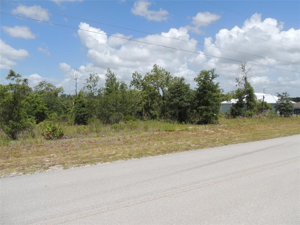 13591 NE 51ST LANE, WILLISTON, FL — photo 3 of 6