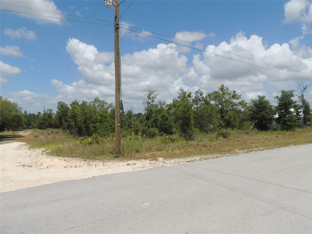 13591 NE 51ST LANE, WILLISTON, FL — photo 5 of 6