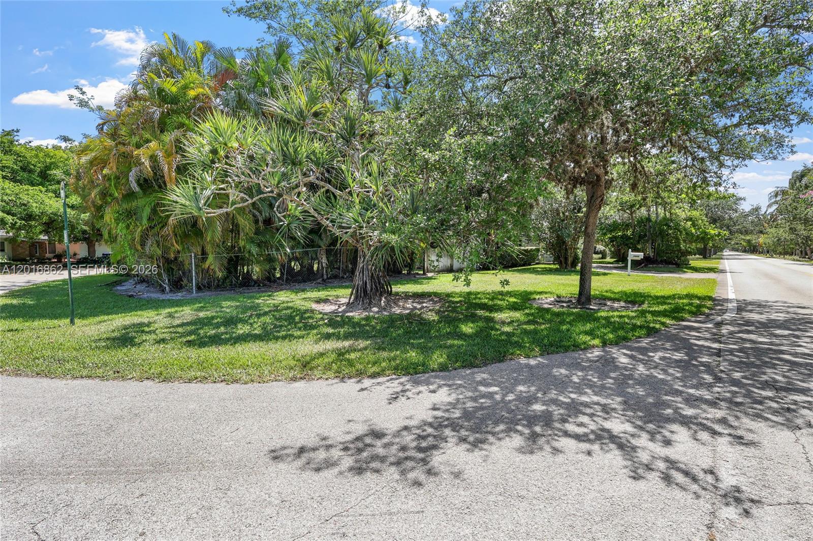 A grassy lot with mature trees and palms sits beside a paved residential street — 7800 SW 132nd St, Pinecrest FL 33156, PINECREST, FL