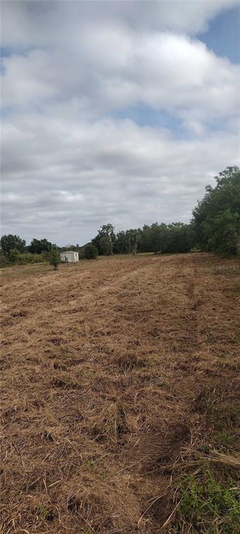 A large, cleared, grassy lot features a small white shed in the distance under clouds — 29455 PINE VILLA CIRCLE, PUNTA GORDA, FL