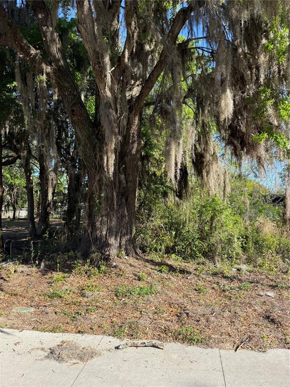A large, mature oak tree with Spanish moss stands on a grassy, partially shaded lot — 3RD STREET, OCALA, FL