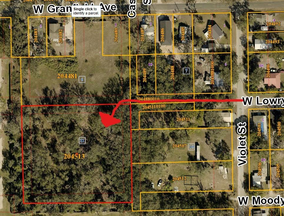This is a map showing property parcel lines and lot numbers in a residential area — 204513-0000, PLANT CITY, FL