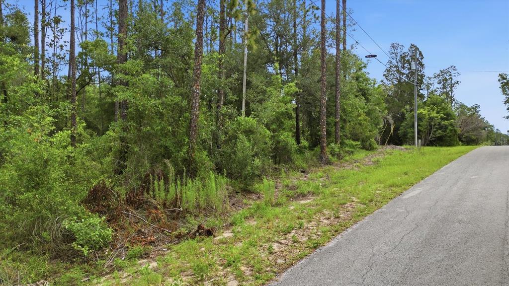A paved road runs alongside a wooded lot with tall pine trees and dense vegetation — 0000 SW NAUTILUS BOULEVARD, DUNNELLON, FL