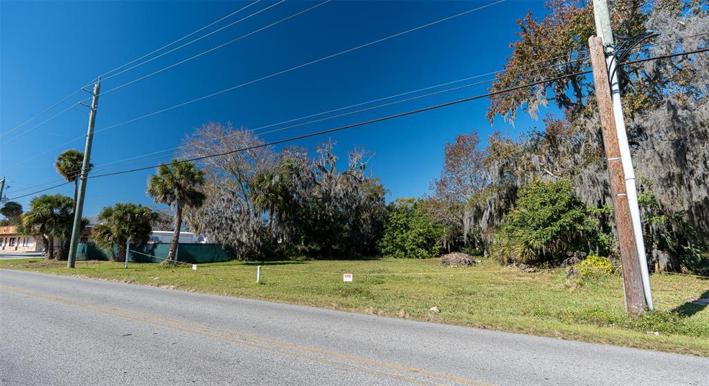 A vacant, grassy lot with trees and utility poles sits beside a paved road — 818 6TH STREET, DAYTONA BEACH, FL