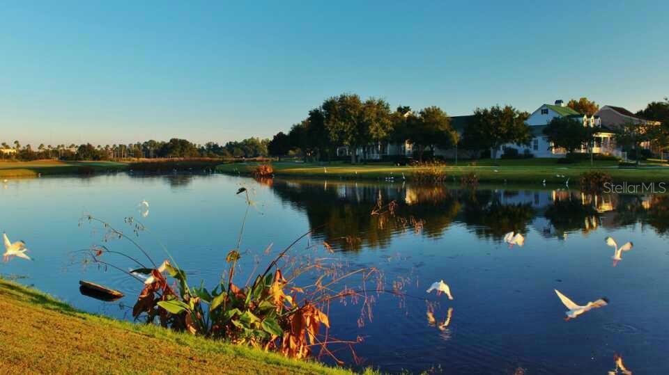 934 WESTPARK DRIVE, CELEBRATION, FL — photo 4 of 30