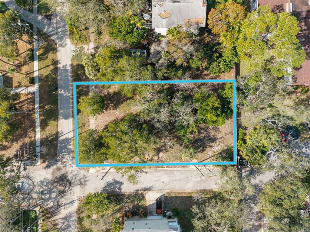 An aerial view shows a residential neighborhood with houses, dense trees, and a distant coastline — VENTNOR AVENUE, TARPON SPRINGS, FL