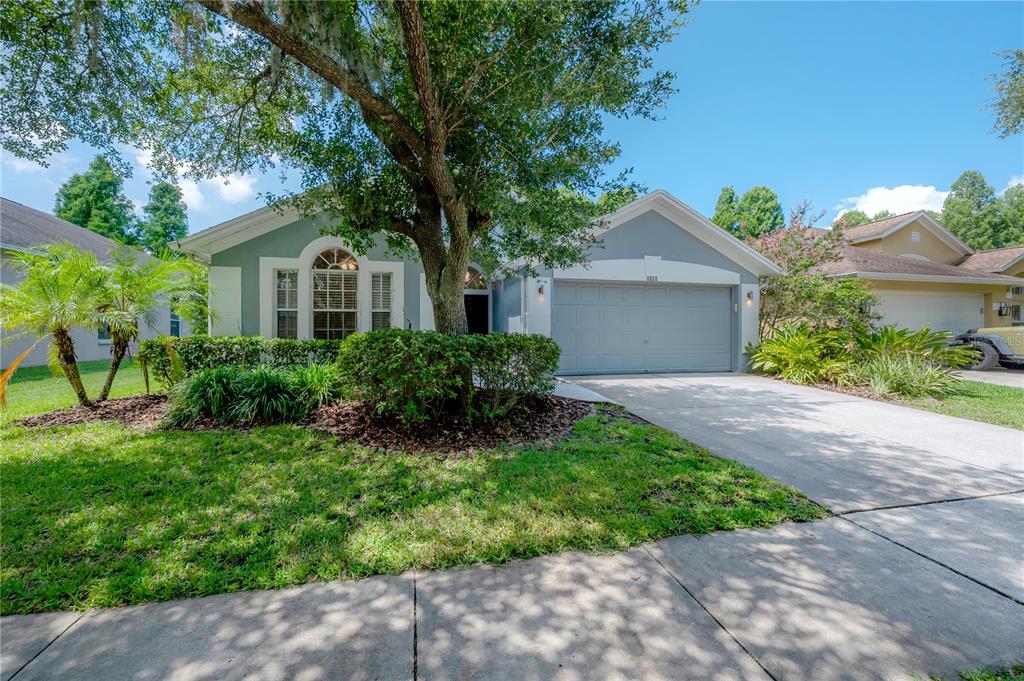 A single-story house with a gray exterior, a two-car garage, and a large front tree — 11820 EASTHAMPTON DRIVE, TAMPA, FL