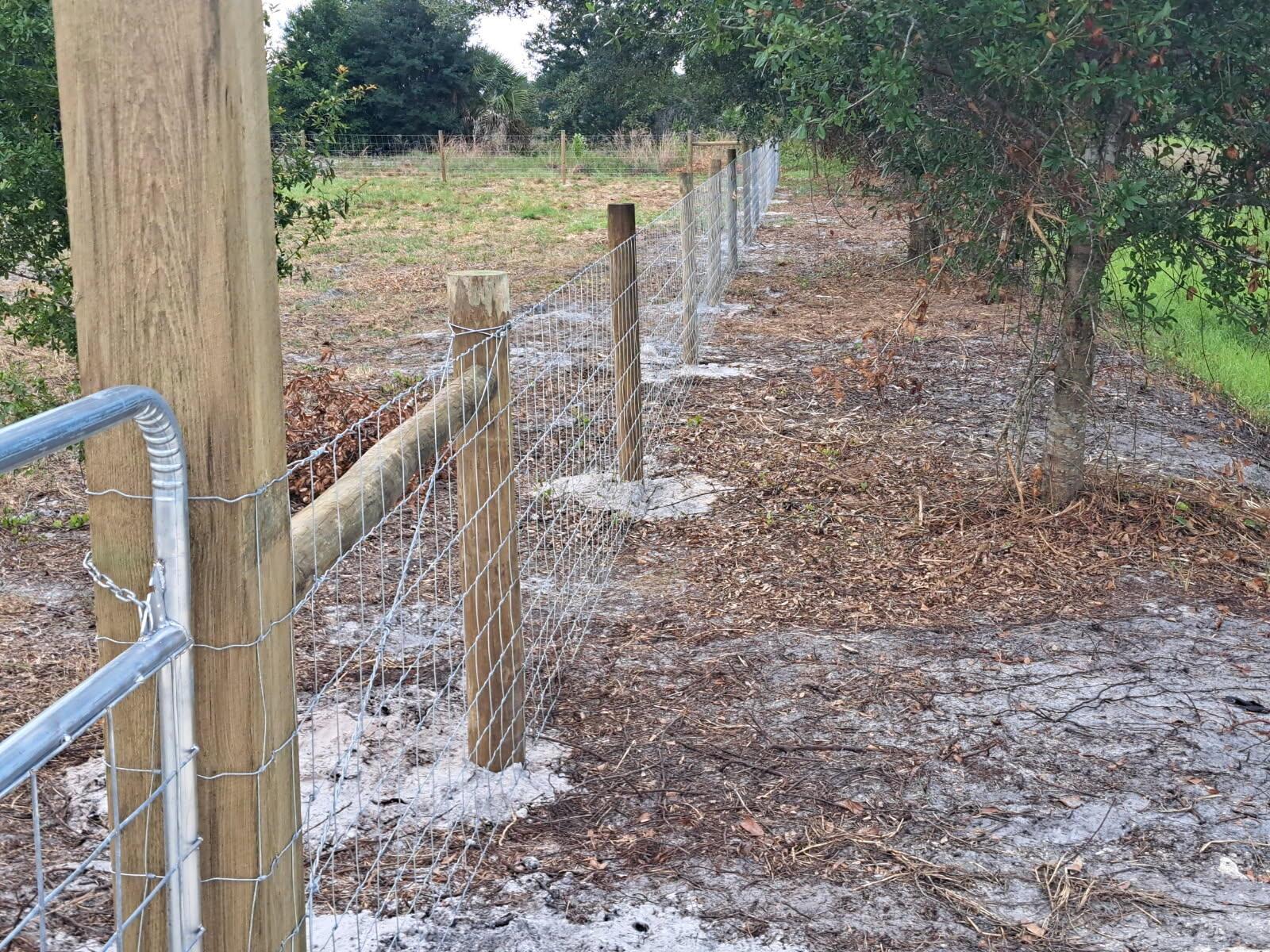 A wire mesh fence with wooden posts runs along a dirt path near trees — 19025 NW 272nd Street, Okeechobee FL 34972, OKEECHOBEE, FL
