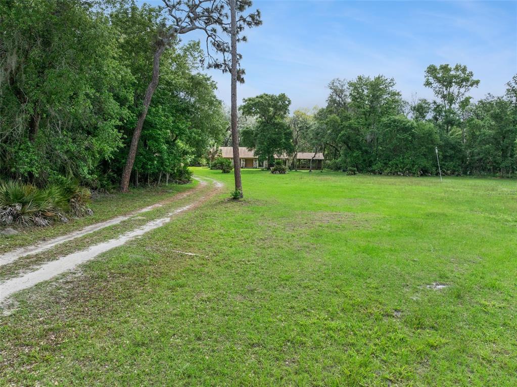 A dirt driveway leads through a grassy field toward a house surrounded by dense trees — 2260 PANORAMA DRIVE, CHULUOTA, FL