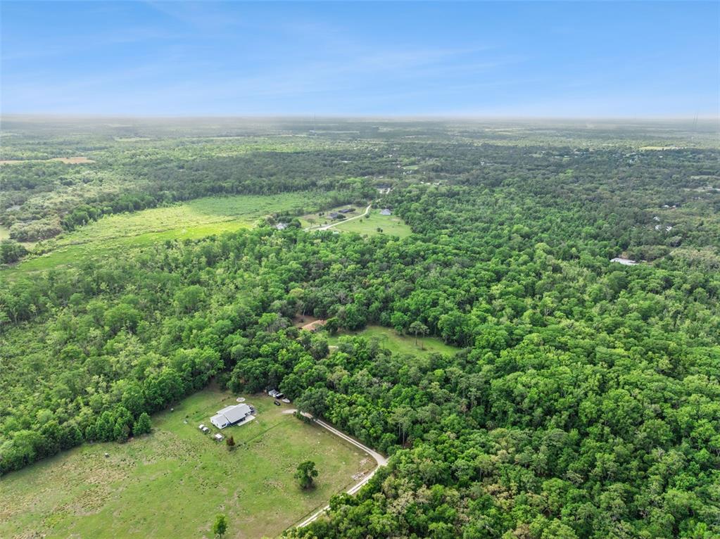 An aerial view shows a house surrounded by a large grassy yard and dense forest — 2260 PANORAMA DRIVE, CHULUOTA, FL