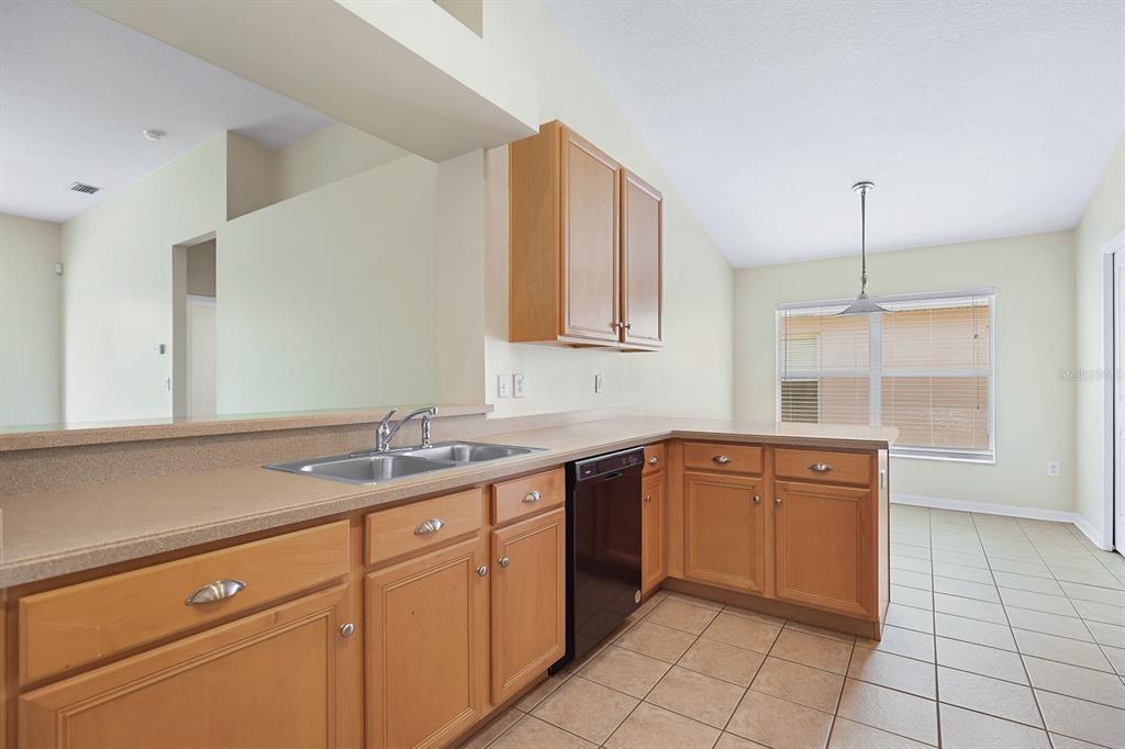 A kitchen with light wood cabinets, a black dishwasher, and a double sink — 6328 BRIDGECREST DRIVE, LITHIA, FL