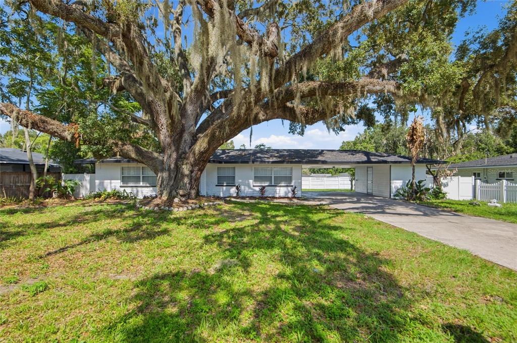 A white single-story house with a large oak tree in the front yard — 5511 CRAIG DRIVE, LAKELAND, FL
