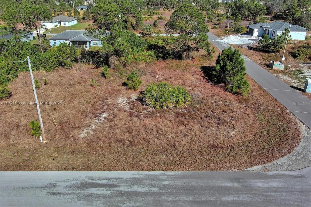 An elevated view shows a vacant, brush-covered corner lot bordered by paved roads and trees — 733 BUMBY STREET E, LEHIGH ACRES, FL