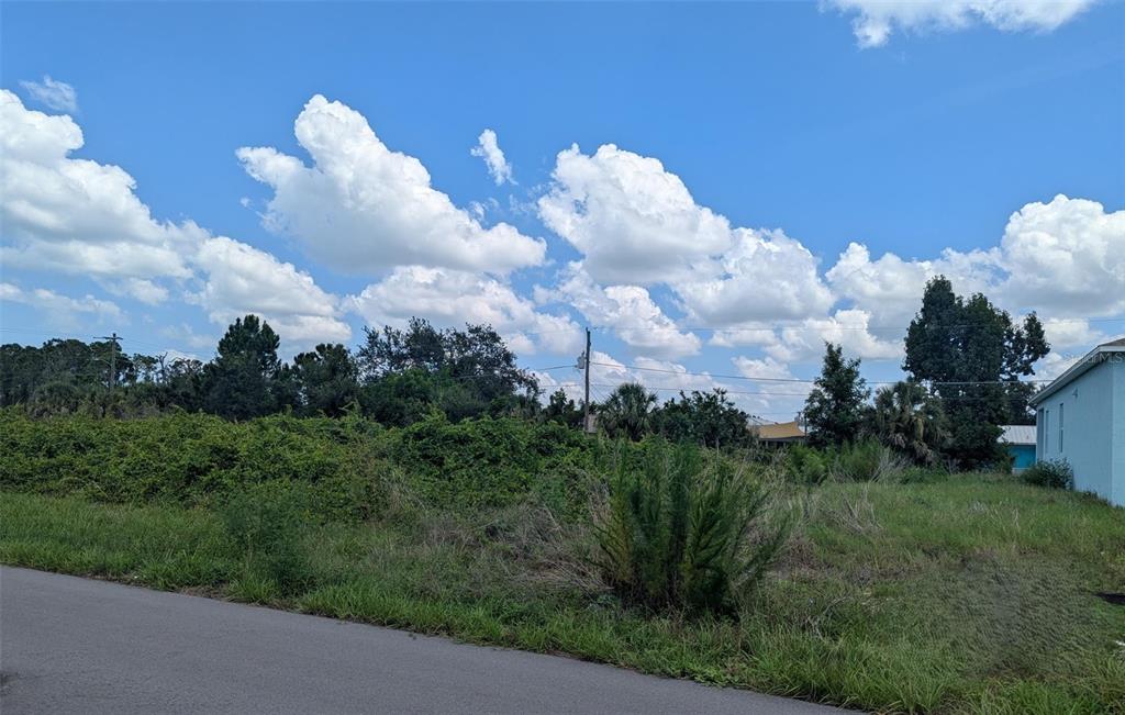 An overgrown, vacant residential lot sits beside a paved road under a cloudy blue sky — 3420 SARTO LANE, ROTONDA WEST, FL