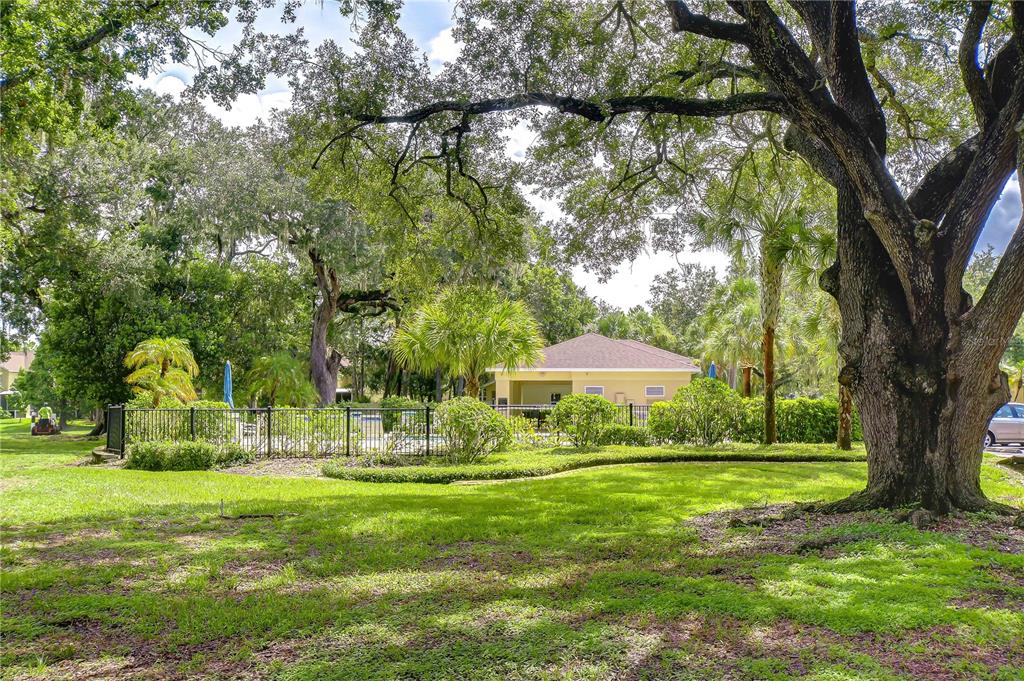 A large oak tree shades a grassy lawn in front of a fenced swimming pool area — 9328 STONE RIVER PLACE, RIVERVIEW, FL