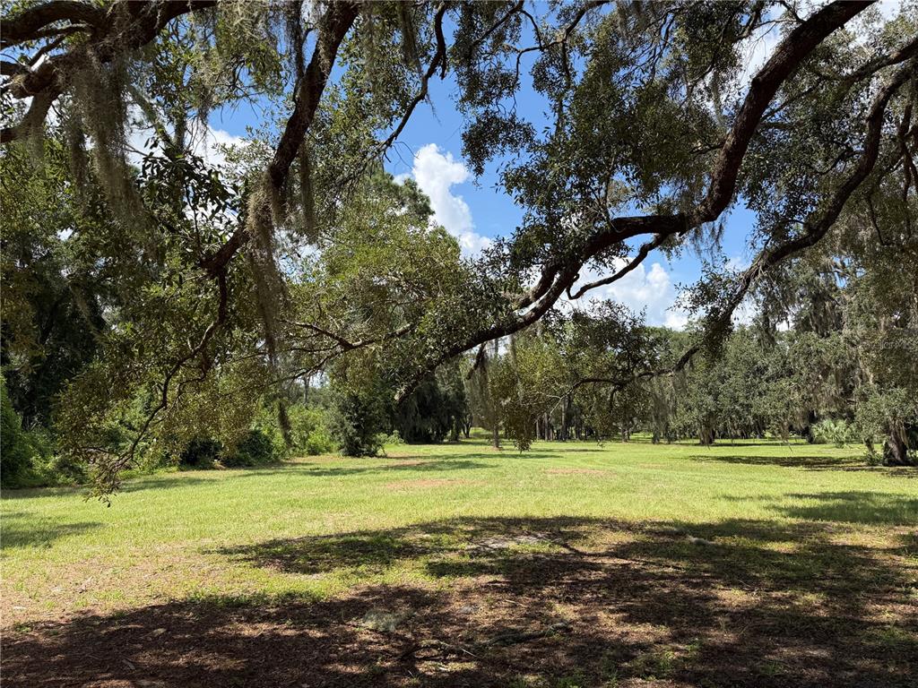 11309 SE HIGHWAY 42, SUMMERFIELD, FL — photo 2 of 10