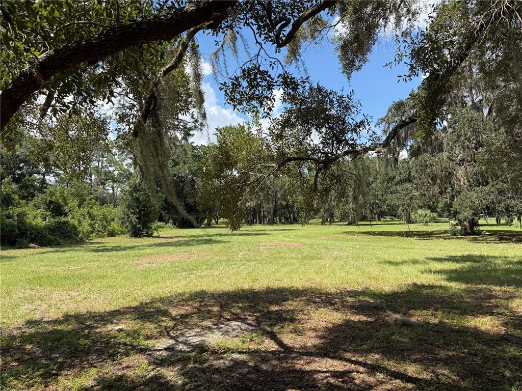 11309 SE HIGHWAY 42, SUMMERFIELD, FL — photo 3 of 10