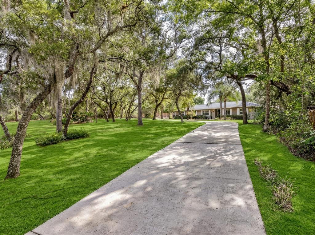 A concrete driveway leads toward a single-story house surrounded by large, moss-draped oak trees — 330 HAYES ROAD, WINTER SPRINGS, FL
