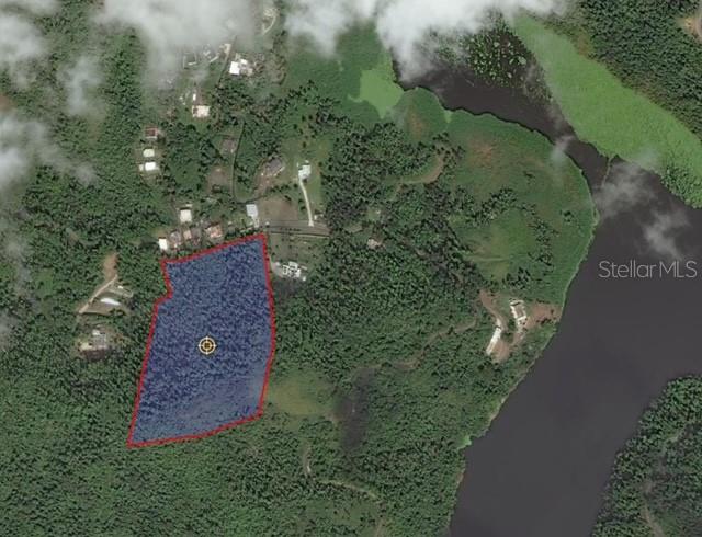 This is an aerial map view showing a plot of land outlined in red — 175 BO SAN ANTONIO, CAGUAS, PR