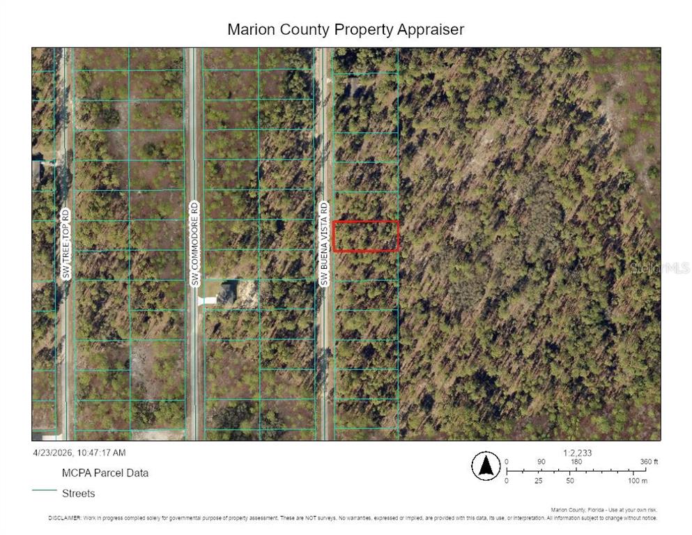 This is a property appraiser map showing parcel boundaries and streets in a wooded area — 0 SW BUENA VISTA ROAD, DUNNELLON, FL