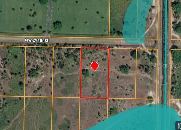 A flat, grassy, undeveloped lot with scattered small trees and shrubs under a cloudy sky — 16916 NW 294TH STREET, OKEECHOBEE, FL