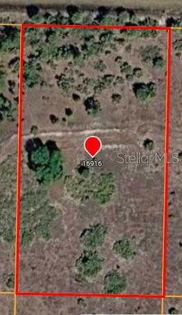 A grassy path stretches between a line of trees and a black fence under clouds — 16916 NW 294TH STREET, OKEECHOBEE, FL