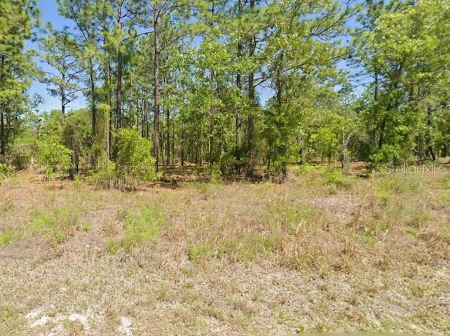 A view of a vacant, wooded lot with tall pine trees and low-lying brush — SW HARBOR HILLS RD, DUNNELLON, FL