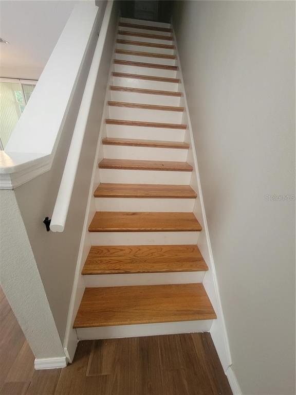 A straight wooden staircase with white risers leads upward between two plain walls — 2221 GOLDEN OAK LANE, VALRICO, FL