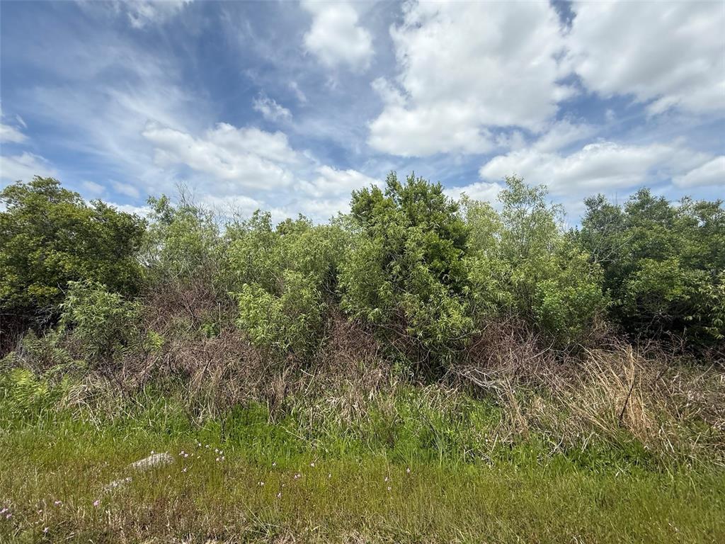 A view of a dense, overgrown wooded area under a cloudy blue sky — 15837 NW 282ND STREET, OKEECHOBEE, FL