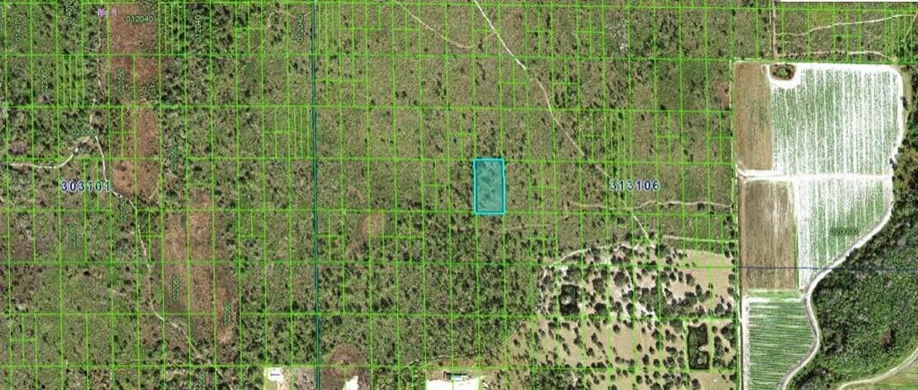 This is a satellite map view showing a highlighted rectangular parcel of land — N/A, LAKE WALES, FL