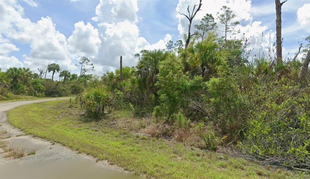 A vacant, wooded lot sits beside a paved road under a cloudy blue sky — Lot 17 FIREBIRD ROAD, NORTH PORT, FL