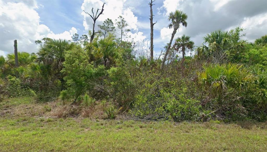 A view of a vacant, overgrown lot with various trees and shrubs under a cloudy sky — Lot 17 FIREBIRD ROAD, NORTH PORT, FL
