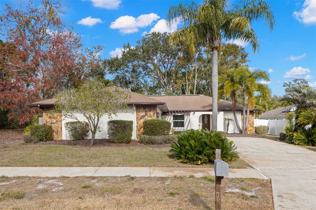 A single-story house with stone accents, a brown roof, and a palm tree in front — 3420 HYDE PARK DRIVE, CLEARWATER, FL
