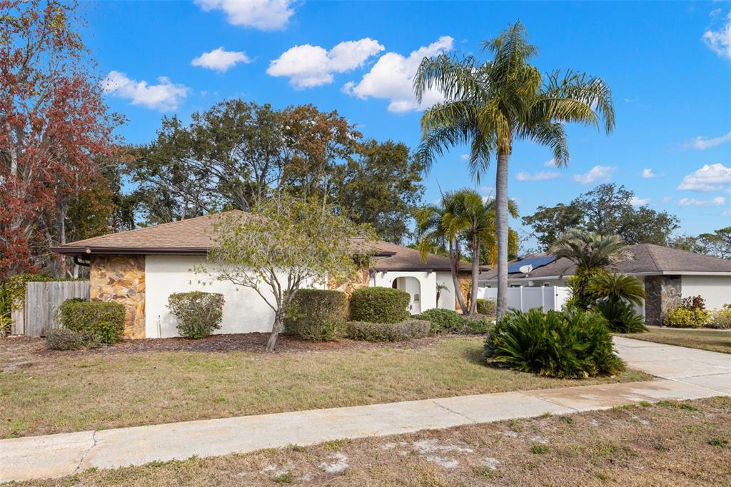 A single-story house with a stone facade, a palm tree, and a paved driveway — 3420 HYDE PARK DRIVE, CLEARWATER, FL