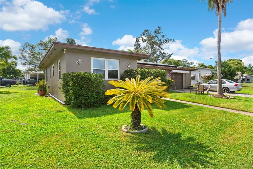 A single-story house with a flat roof, a palm tree, and a grassy front yard — 1566 PROVIDENCE BOULEVARD, DELTONA, FL
