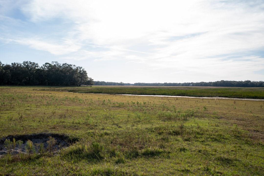 A grassy field leads to a marshy area with a line of trees in the distance — 0 Lake Hatcheneha, FL 33844, FL