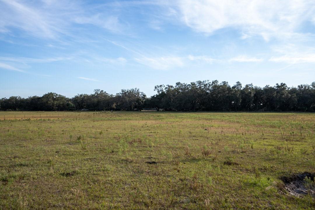 A wide, grassy field stretches toward a dense line of trees under a blue sky — 0 Lake Hatcheneha, FL 33844, FL