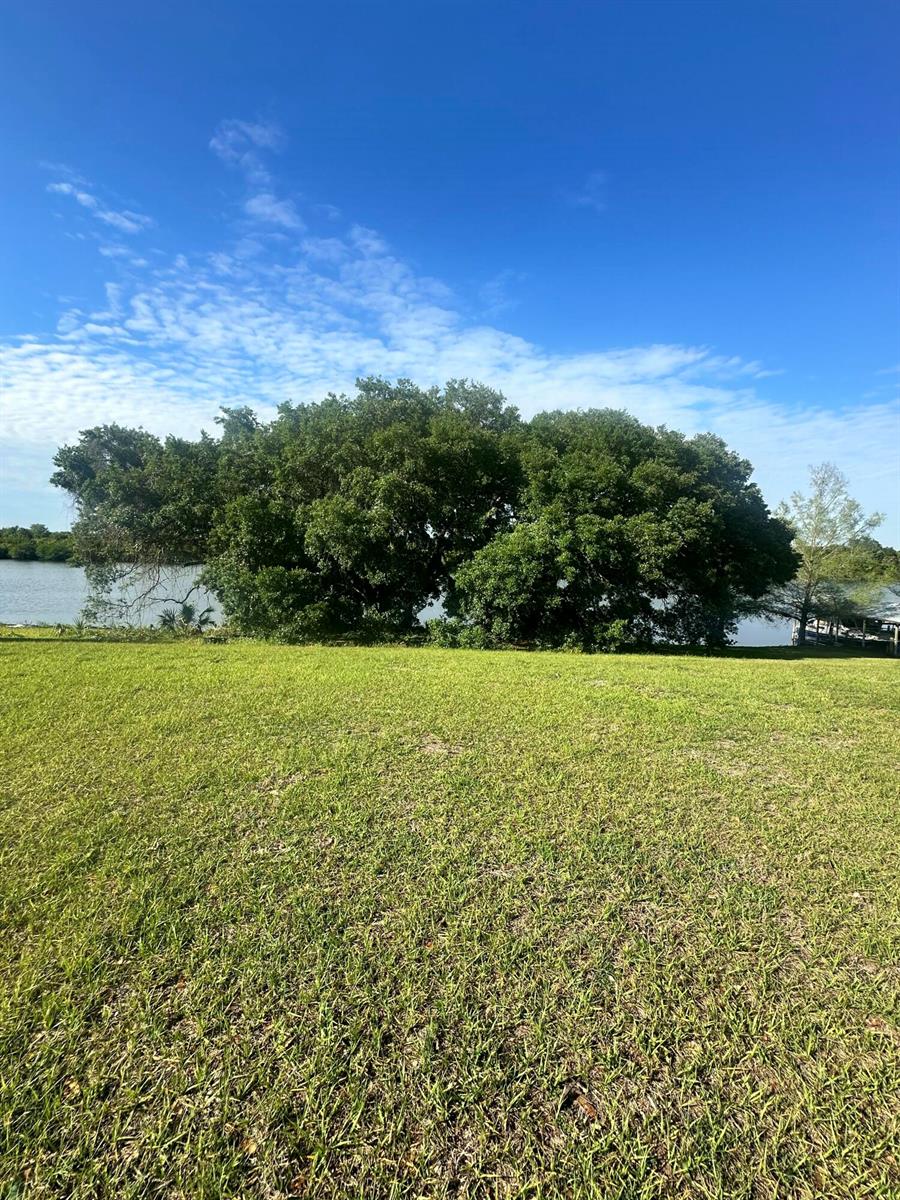 A large, dense tree stands on a grassy lawn overlooking a body of water — 13364 SW 144th Parkway, Okeechobee FL 34974, OKEECHOBEE, FL