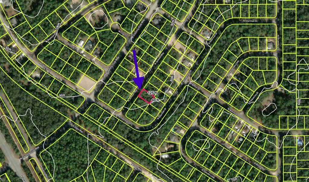 An aerial map shows a highlighted rectangular residential lot located at a street intersection — 9337 N JACKSON WAY, CITRUS SPRINGS, FL