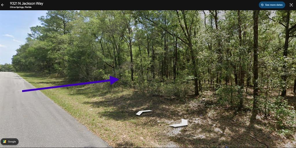 A wooded, undeveloped residential lot sits alongside a paved road in a rural area — 9337 N JACKSON WAY, CITRUS SPRINGS, FL