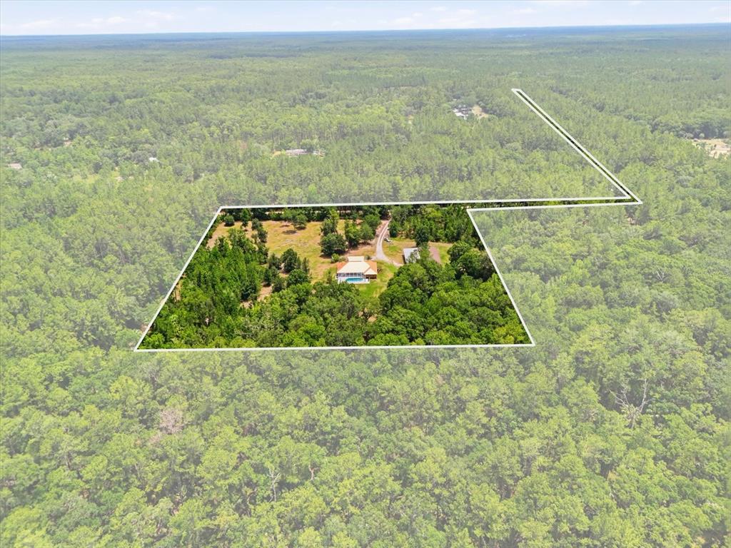 An aerial view shows a house with a pool surrounded by a large wooded lot — 12143 NE 47TH PLACE, SILVER SPRINGS, FL