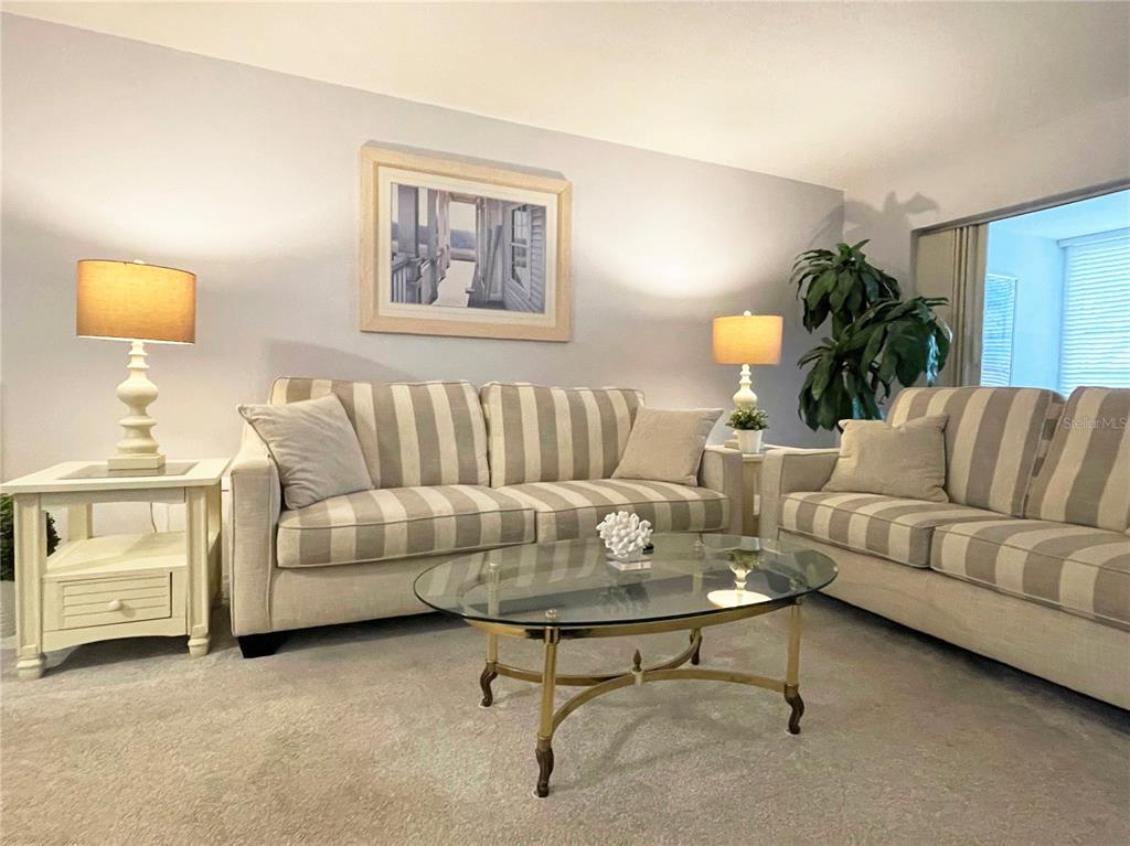 A living room features two striped sofas, a glass coffee table, and two table lamps — 5880 38TH AVENUE N UNIT 206, ST PETERSBURG, FL