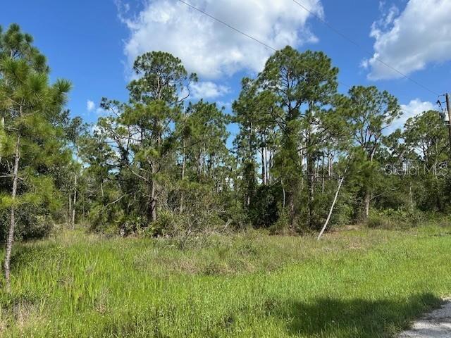 13042 APACHE DRIVE, PUNTA GORDA, FL — photo 2 of 8