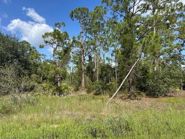 13042 APACHE DRIVE, PUNTA GORDA, FL — photo 4 of 8