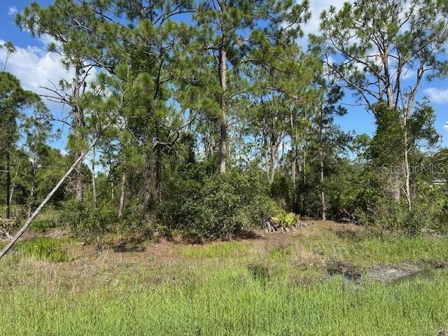 13042 APACHE DRIVE, PUNTA GORDA, FL — photo 5 of 8