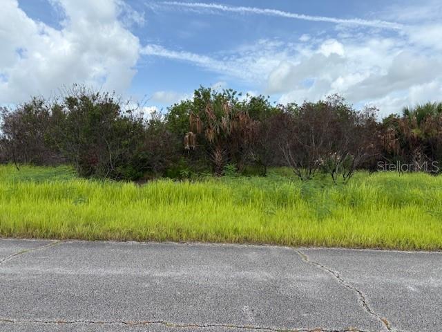 A vacant, overgrown lot sits alongside a cracked asphalt road under a cloudy sky — 2495 LEGION AVENUE, PALM BAY, FL
