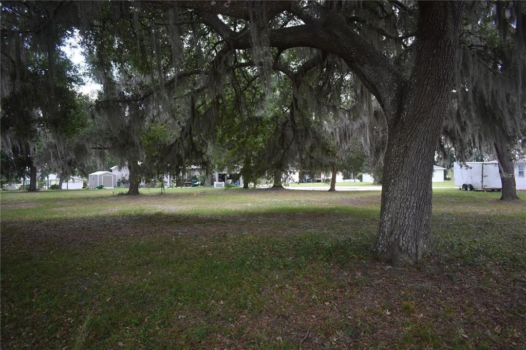 A large, grassy lot features several mature oak trees draped with Spanish moss — LOT 22 BLK D STRATFORD COURT, WILDWOOD, FL