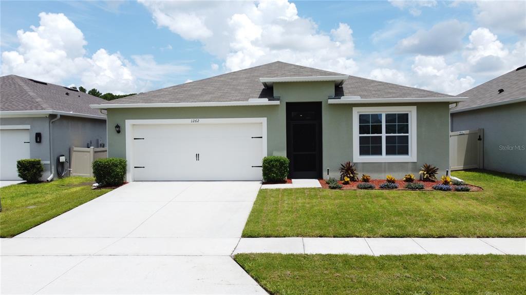 1262 IGUANA LOOP